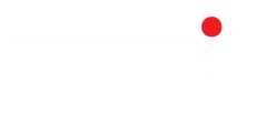 Ayamik